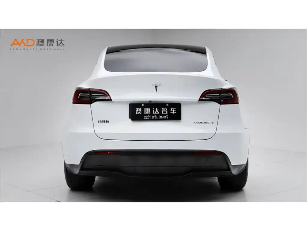 Tesla Model Y — фото 3