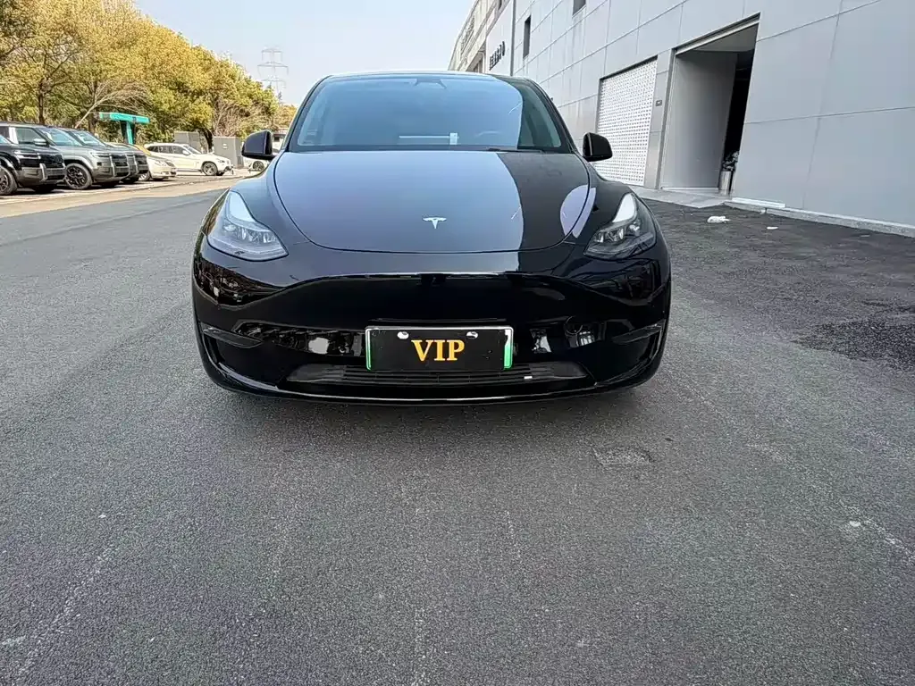 Tesla Model Y — фото 8