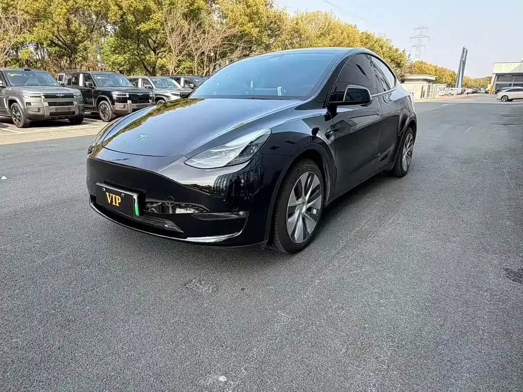 Tesla Model Y — фото 10