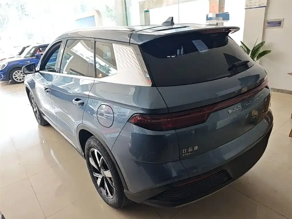 BYD Pro New Energy 2024 из CN, фото 2
