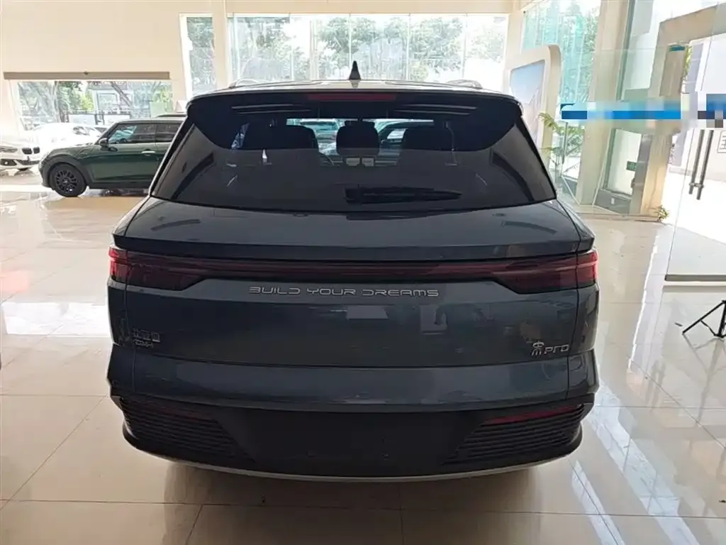 BYD Pro New Energy 2024 из CN, фото 7