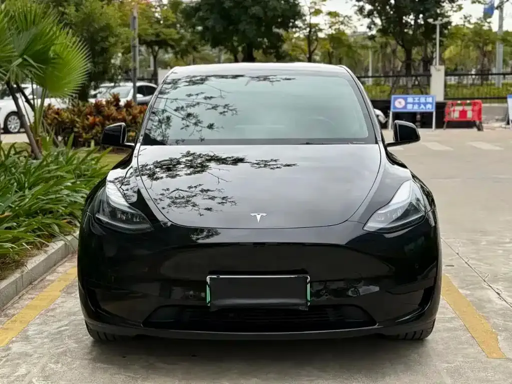 Tesla Model Y — фото 3