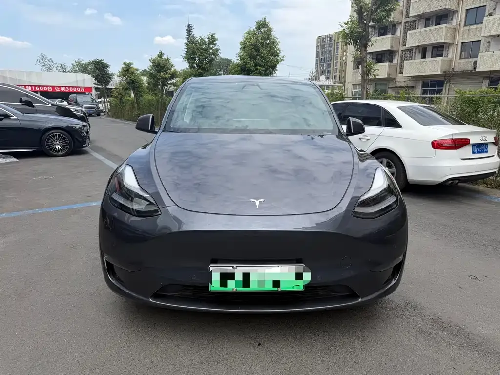Tesla Model Y — фото 2