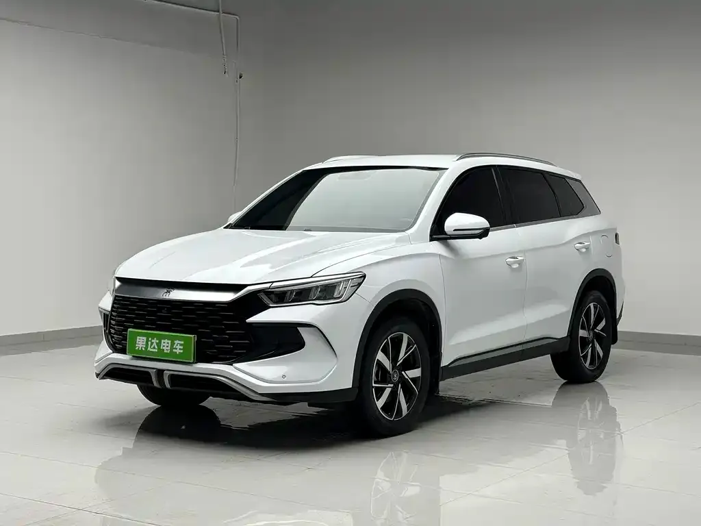 BYD Pro New Energy