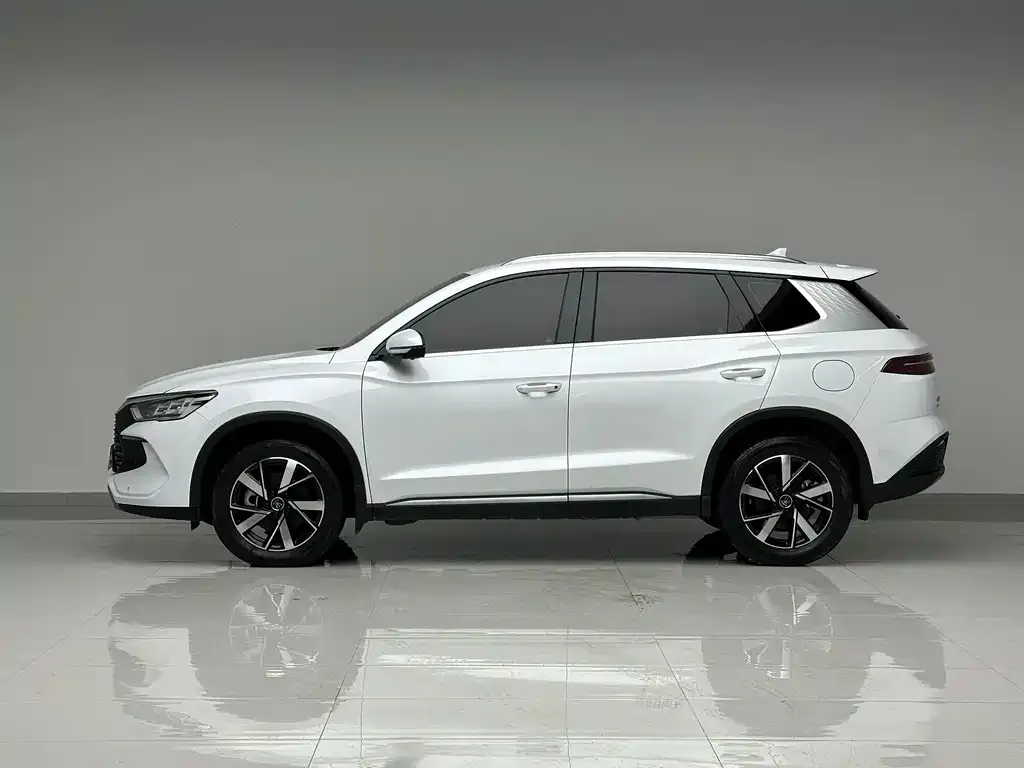 BYD Pro New Energy 2024 из CN, фото 3