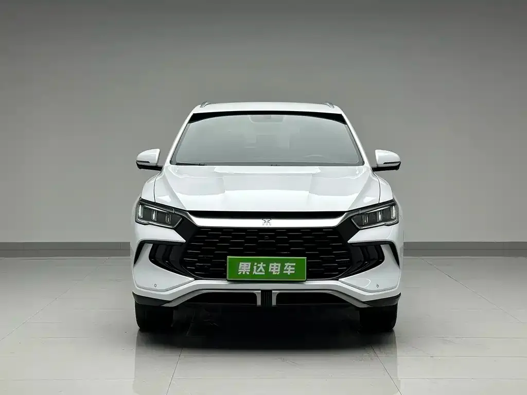 BYD Pro New Energy 2024 из CN, фото 5