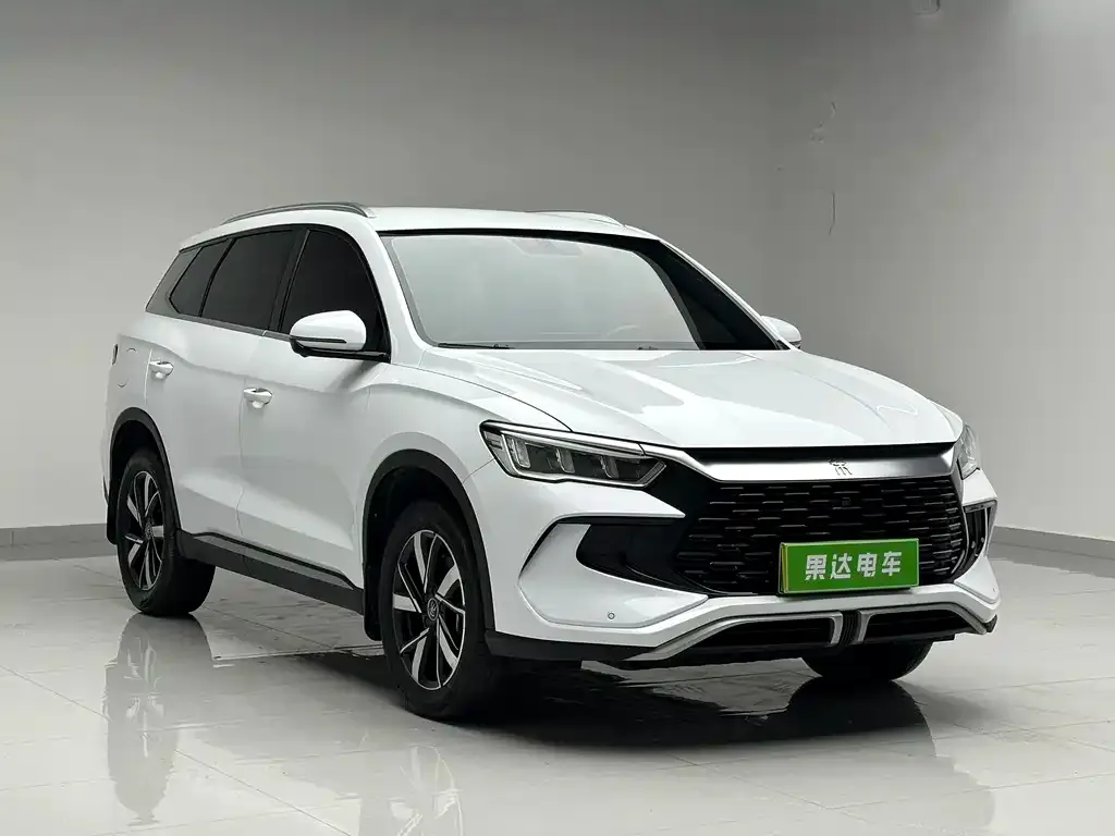 BYD Pro New Energy 2024 из CN, фото 4