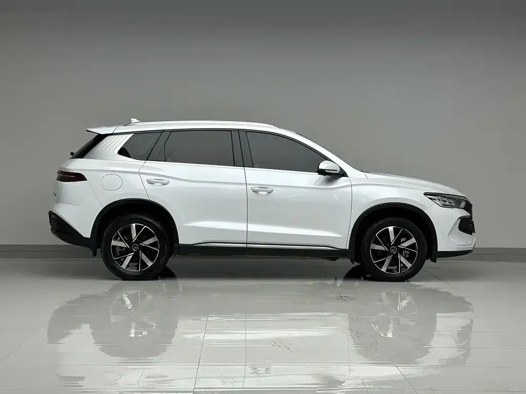 BYD Pro New Energy 2024 из CN, фото 6