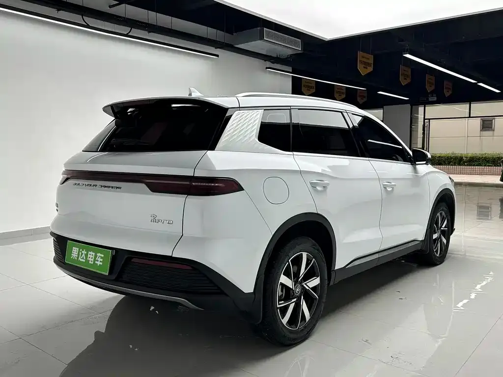 BYD Pro New Energy 2024 из CN, фото 8