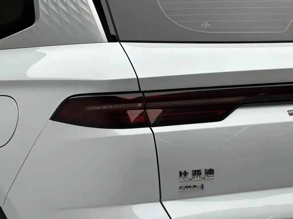 BYD Pro New Energy 2024 из CN, фото 2