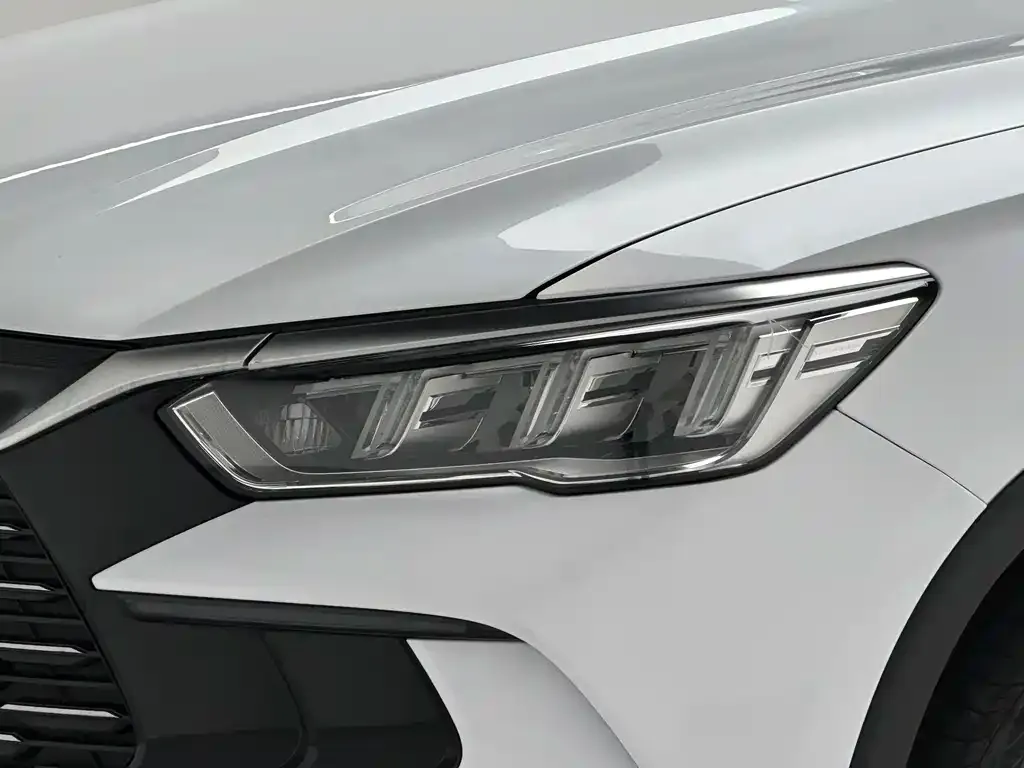 BYD Pro New Energy 2024 из CN, фото 10