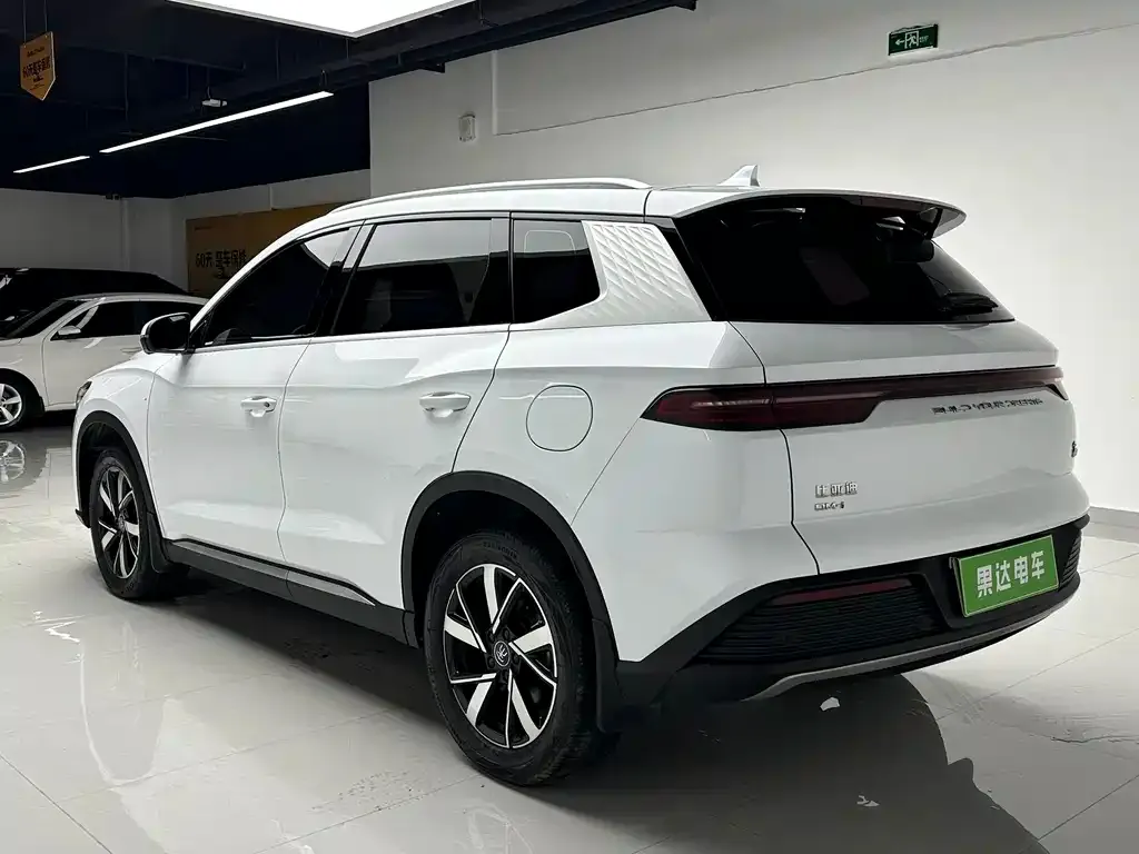 BYD Pro New Energy 2024 из CN, фото 9