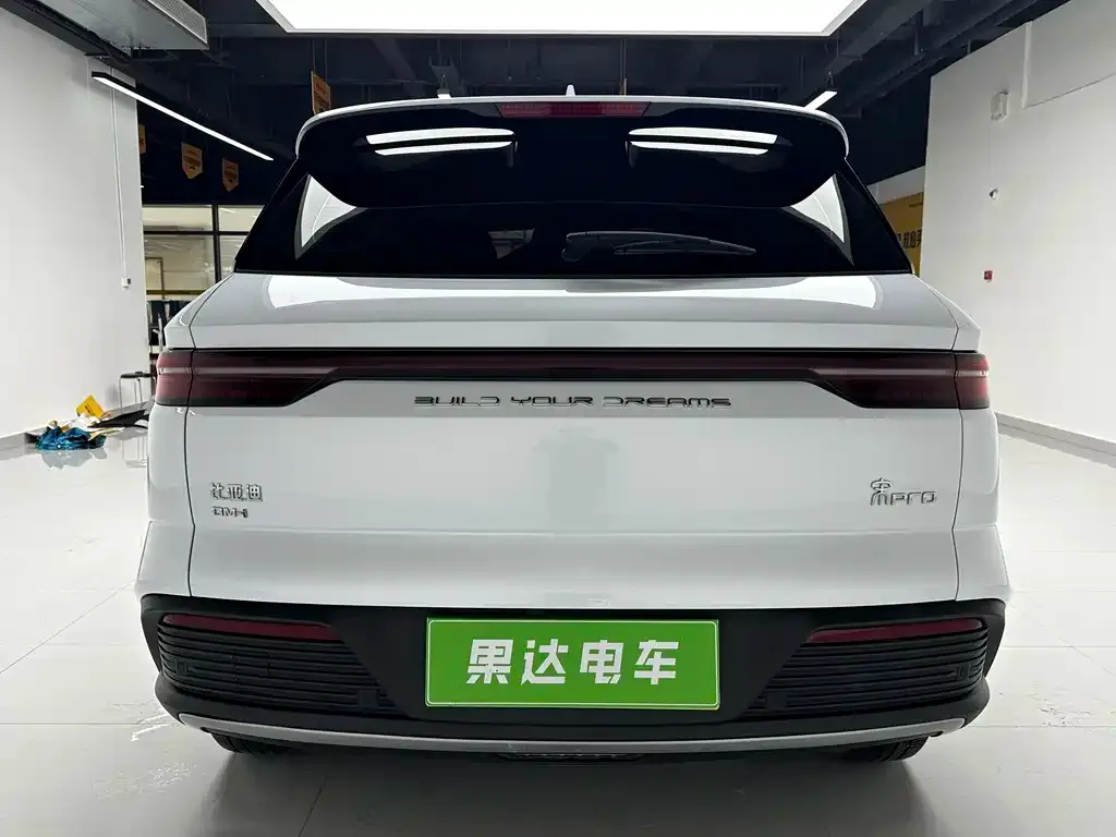 BYD Pro New Energy 2024 из CN, фото 7