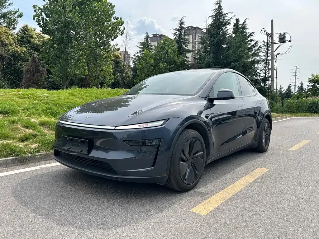 Tesla Model Y — фото 1