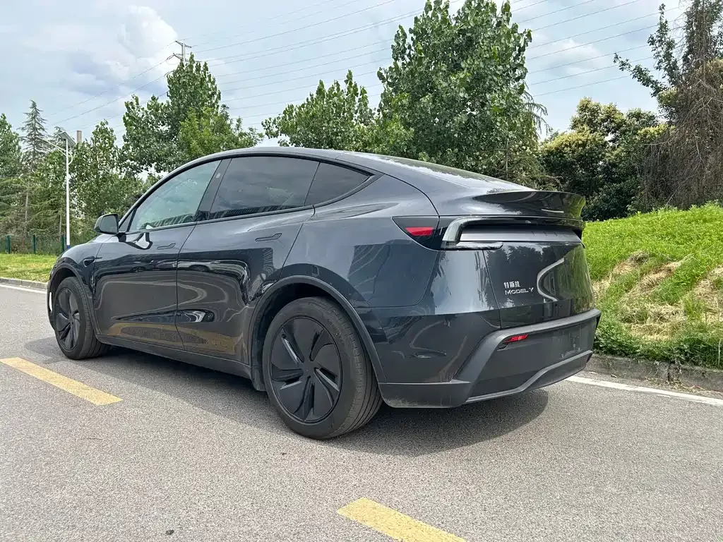 Tesla Model Y — фото 9