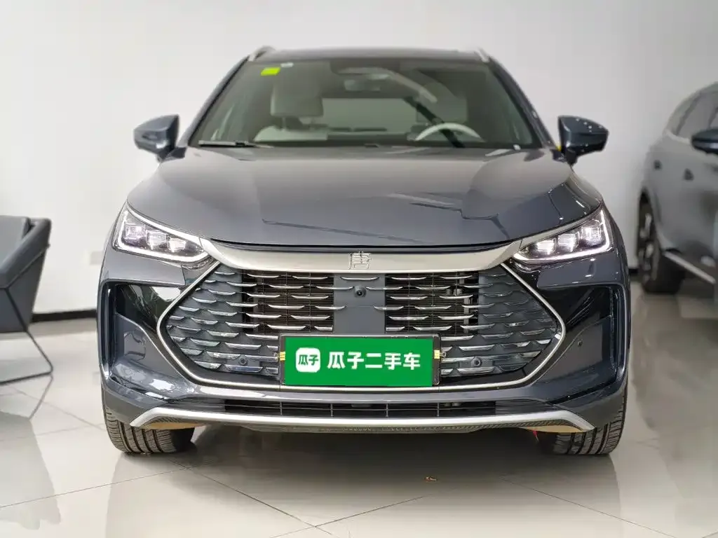 BYD Tang New Energy — фото 8