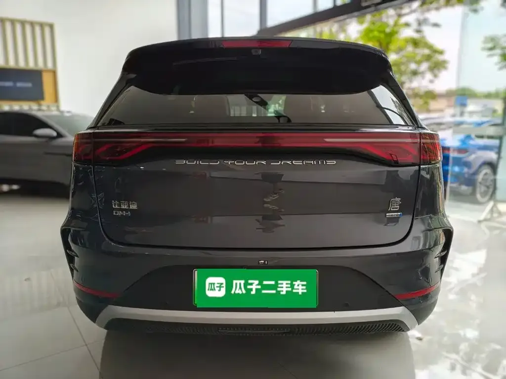 BYD Tang New Energy — фото 3