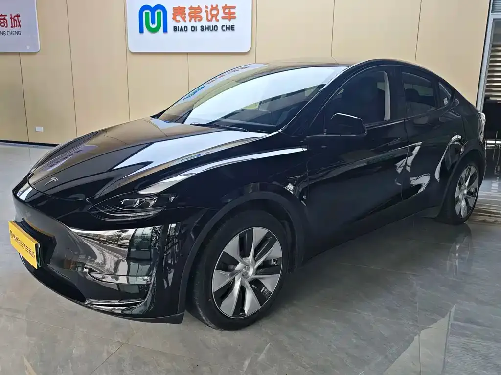 Tesla Model Y — фото 1