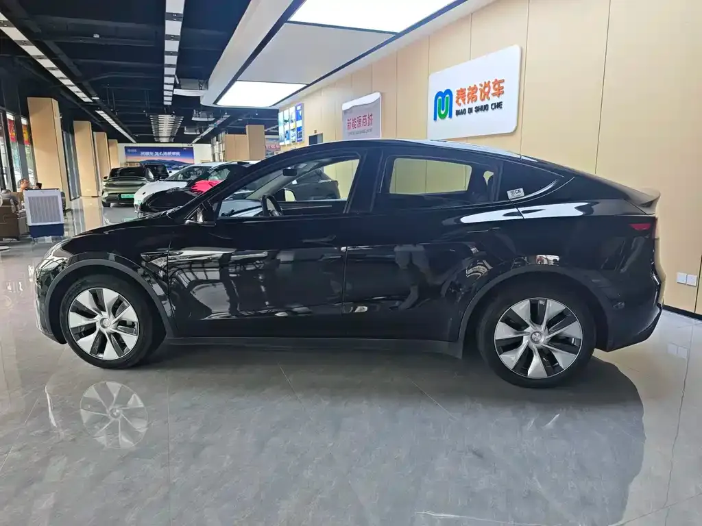 Tesla Model Y — фото 9