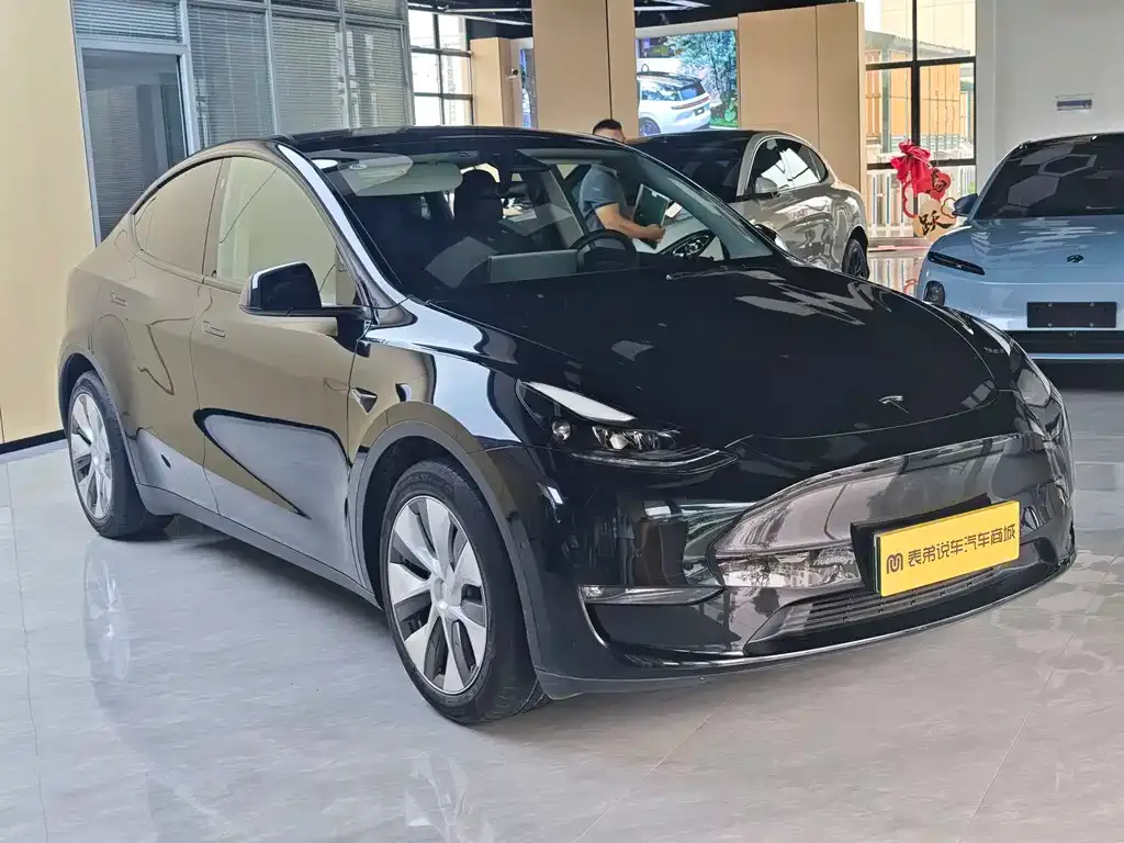 Tesla Model Y — фото 4