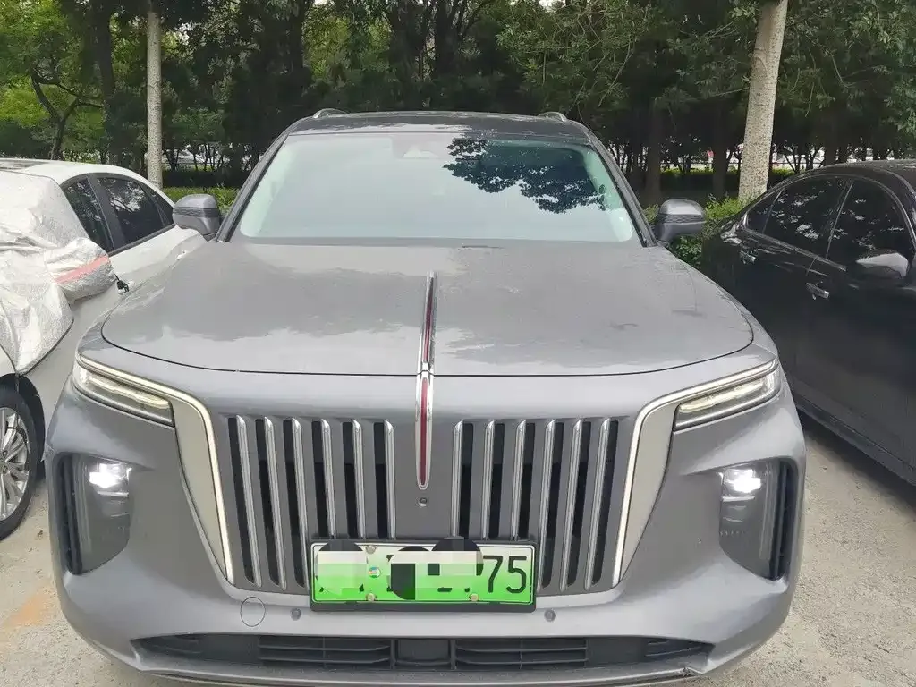 Hongqi E-HS9 2023 из CN, фото 2