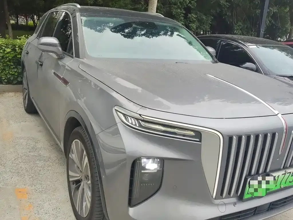 Hongqi E-HS9 2023 из CN, фото 3