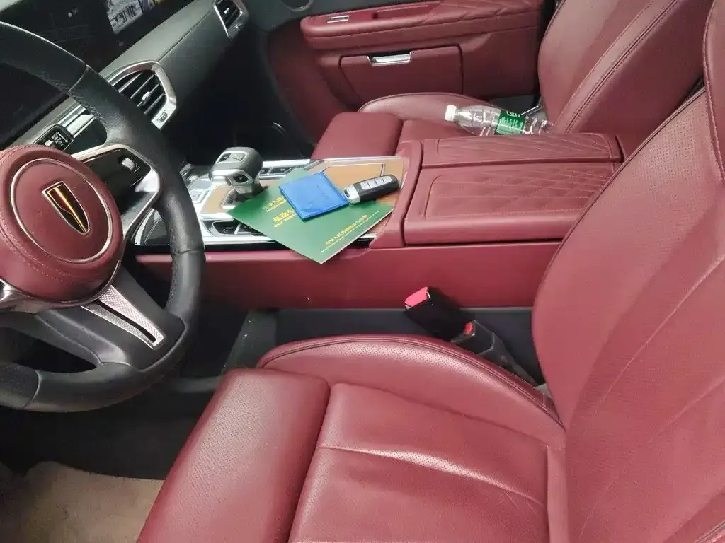 Hongqi E-HS9 2023 из CN, фото 5