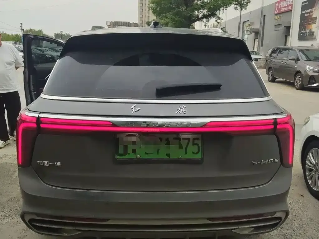 Hongqi E-HS9 2023 из CN, фото 4