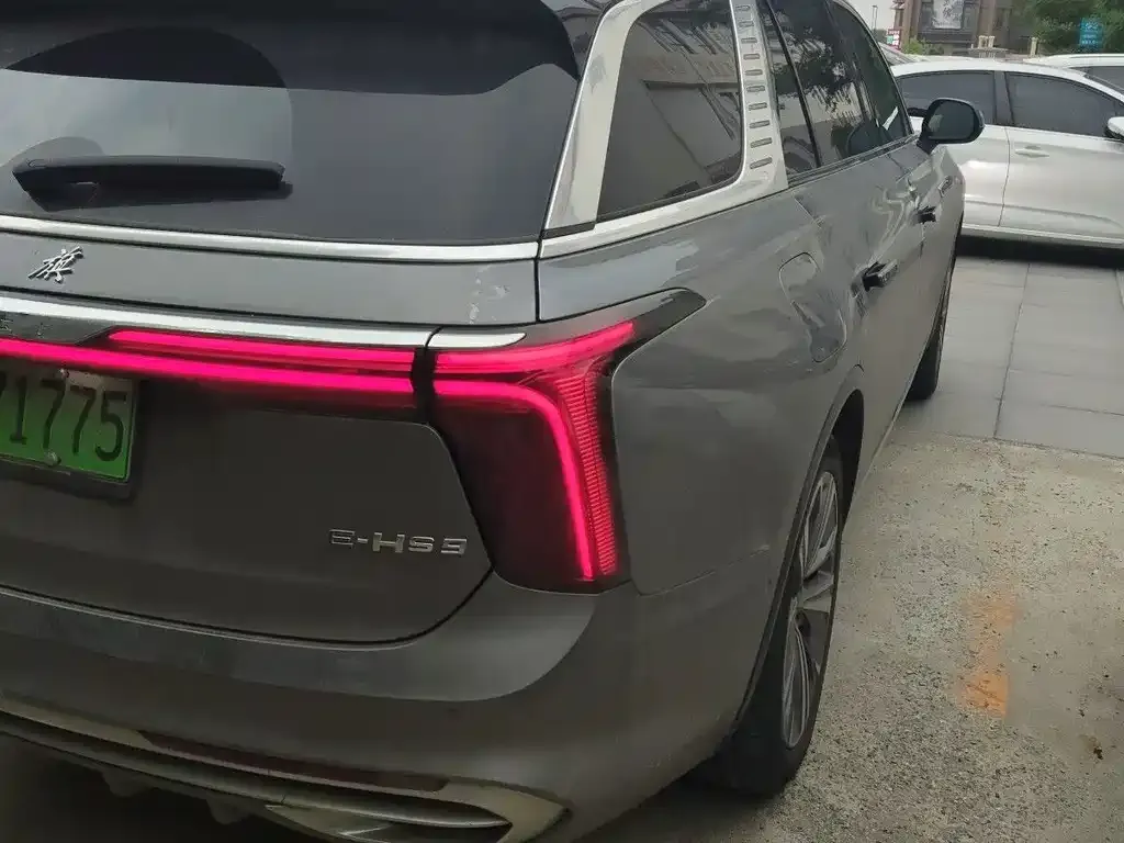 Hongqi E-HS9 2023 из CN, фото 9