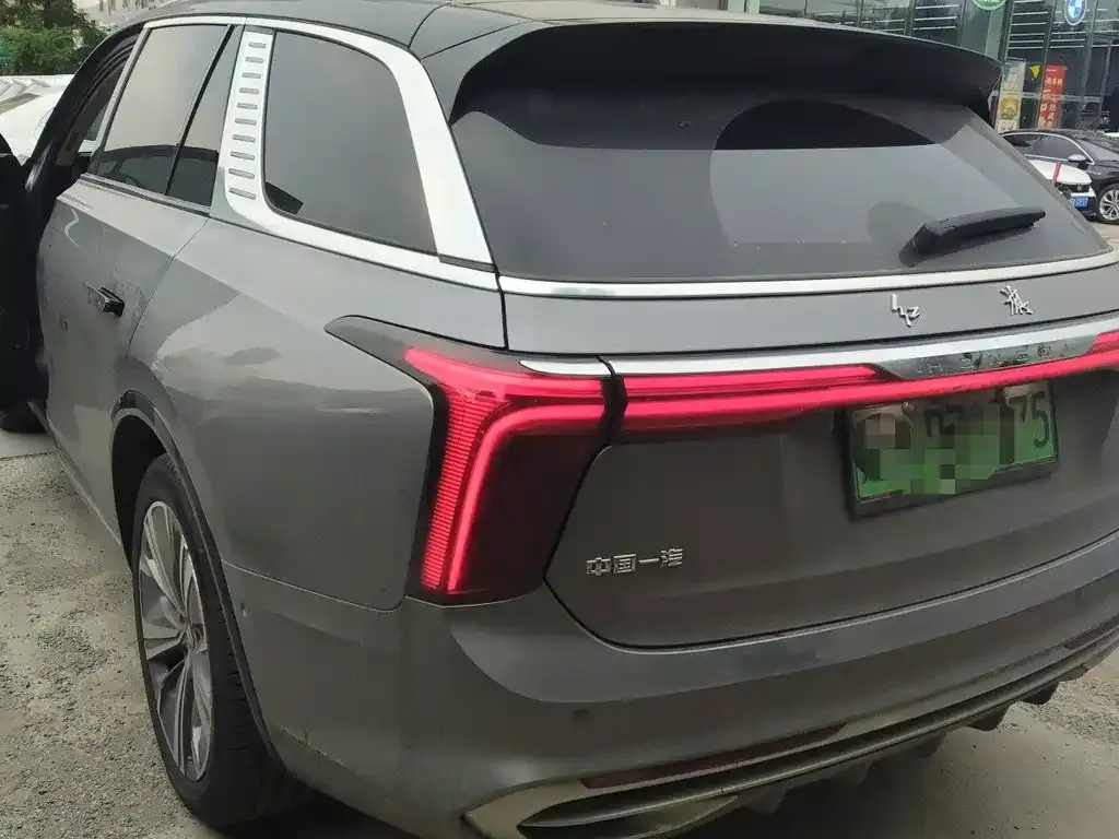 Hongqi E-HS9 2023 из CN, фото 8