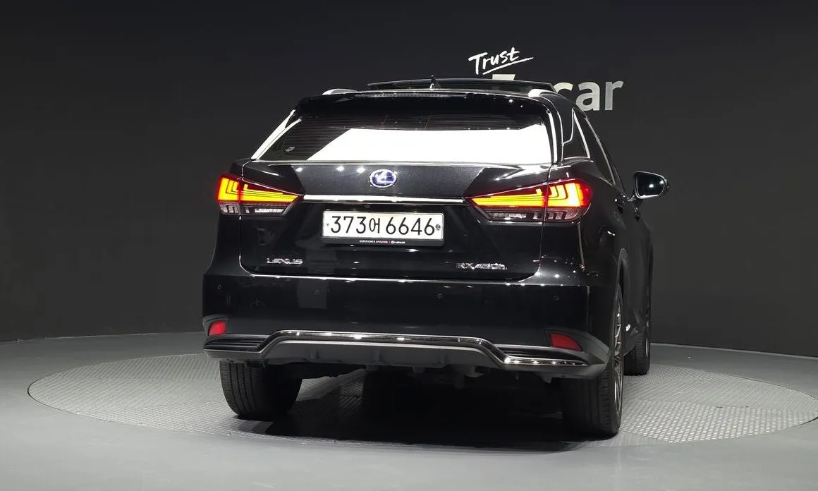 Lexus RX 2021 из KR, фото 6