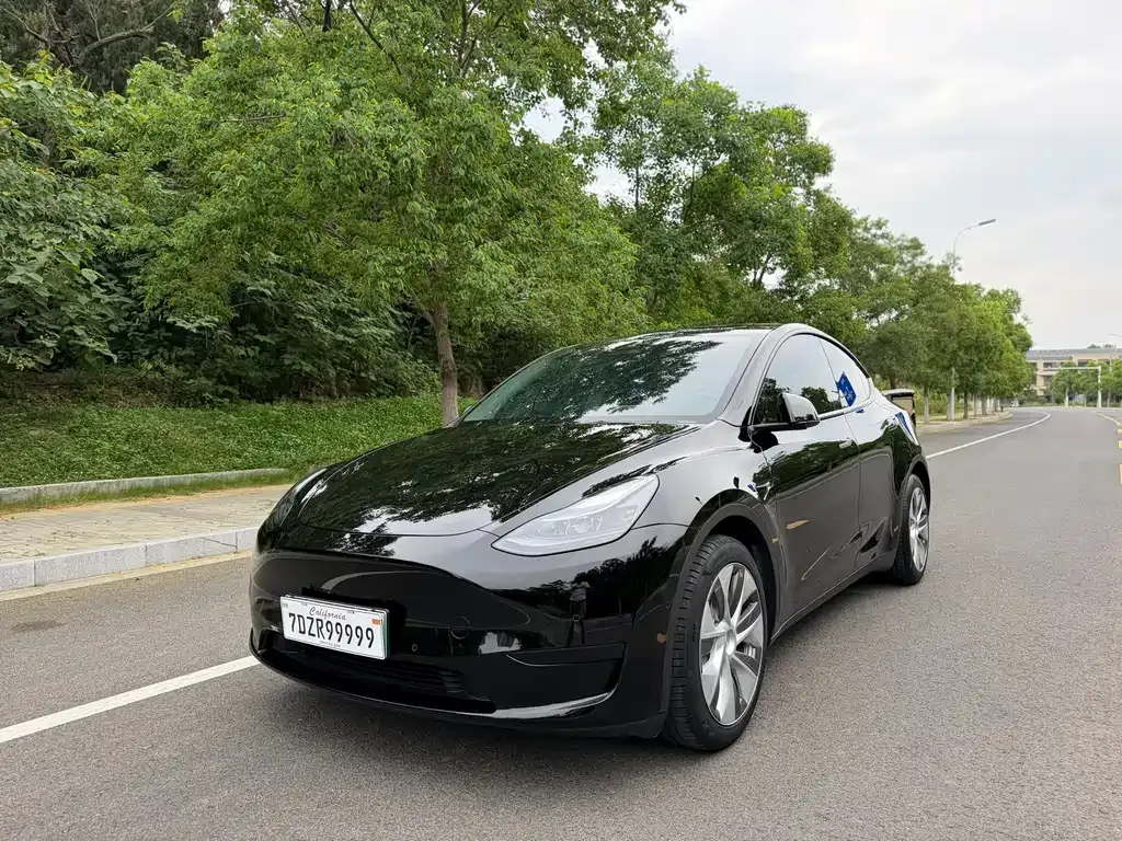 Tesla Model Y — фото 1