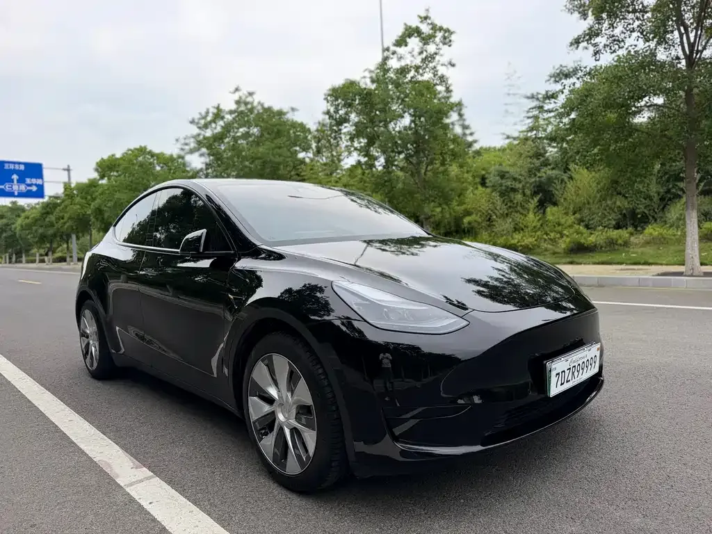 Tesla Model Y — фото 4