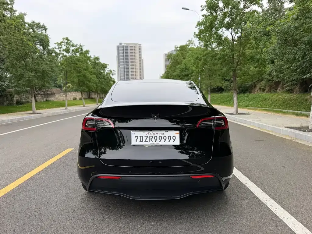 Tesla Model Y — фото 10