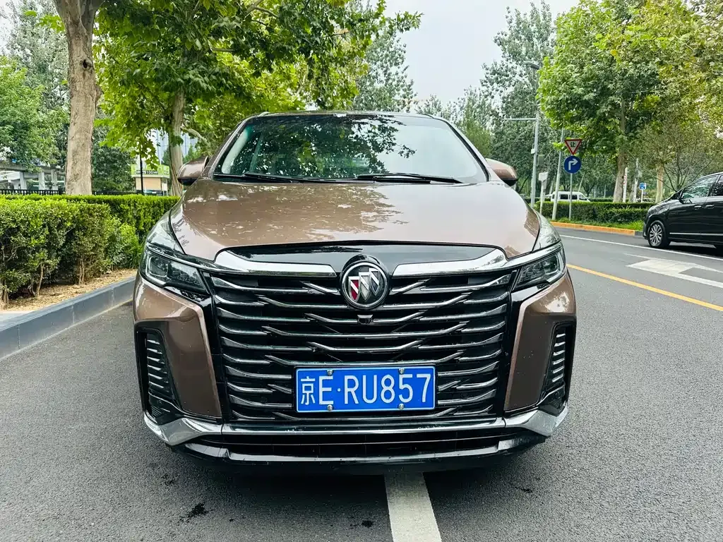 Buick GL8 2021 из CN, фото 9