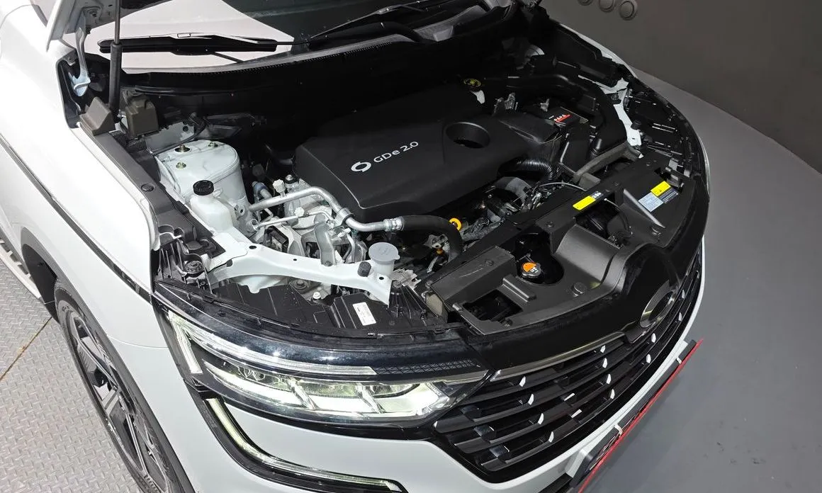 Renault Korea (Samsung) QM6 — фото 10