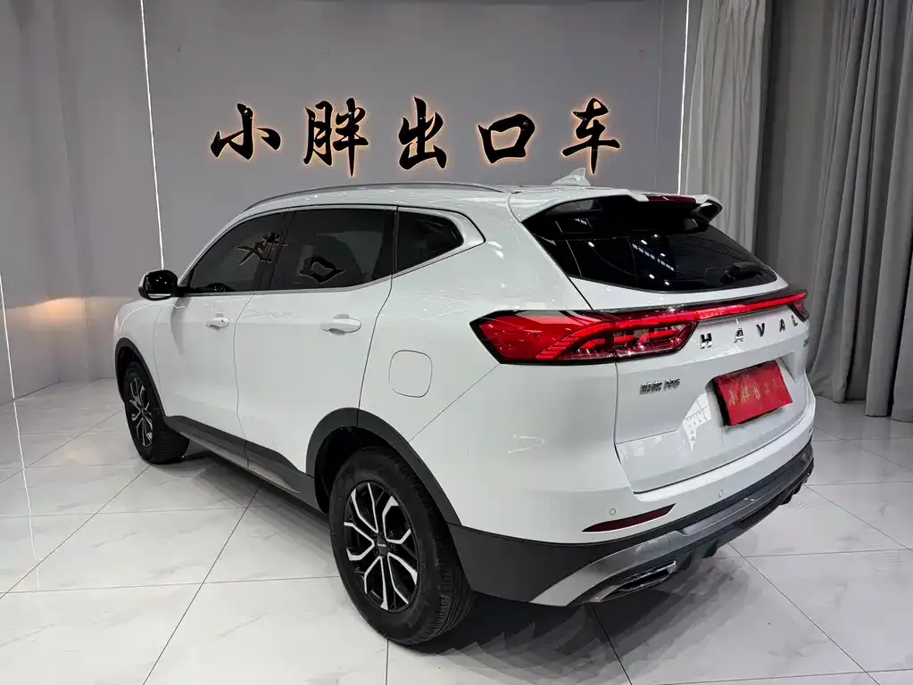 Haval H6 — фото 9