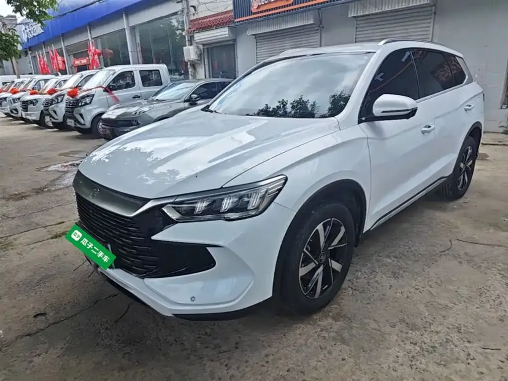 BYD Pro New Energy