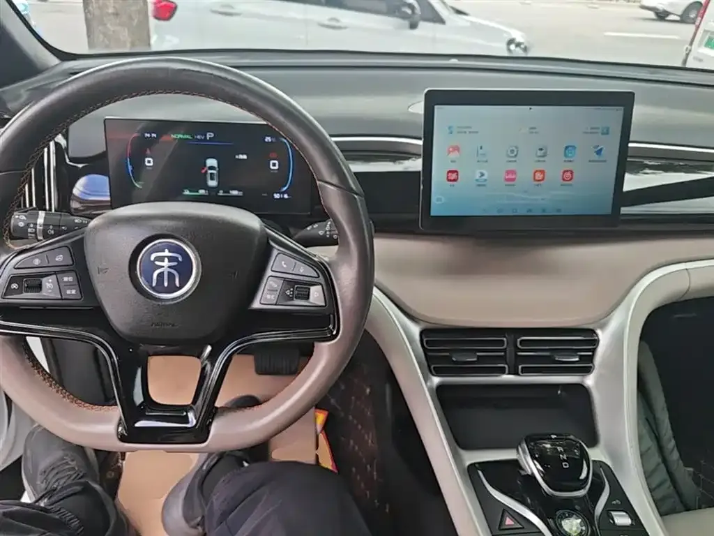 BYD Pro New Energy 2024 из CN, фото 3