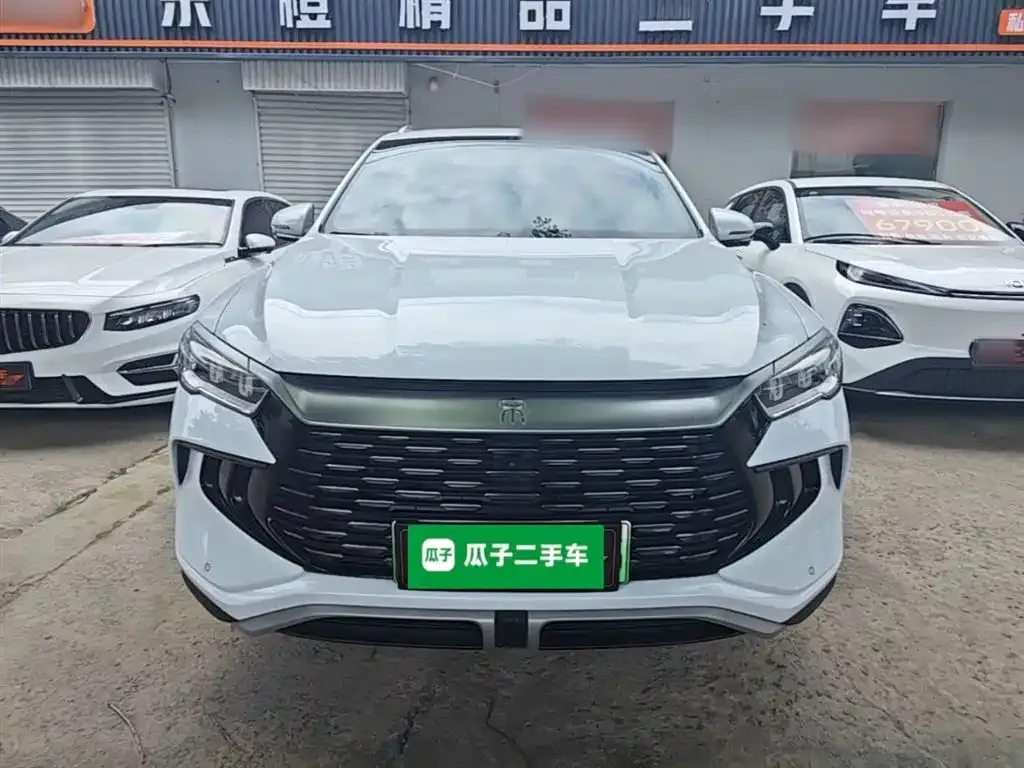 BYD Pro New Energy 2024 из CN, фото 7