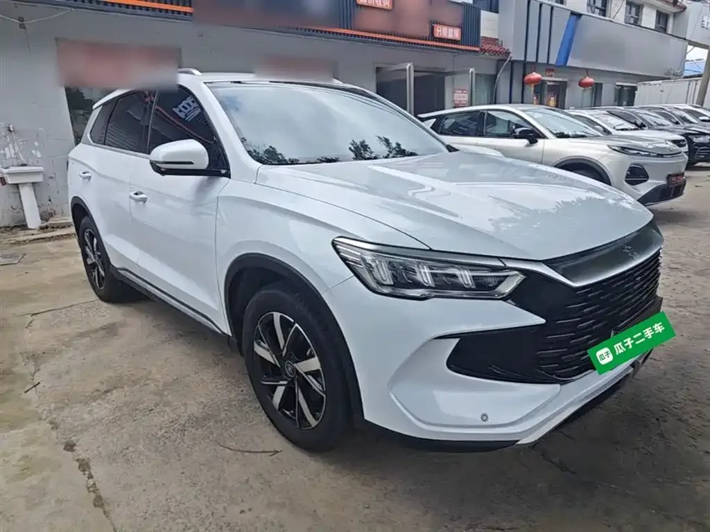 BYD Pro New Energy 2024 из CN, фото 4