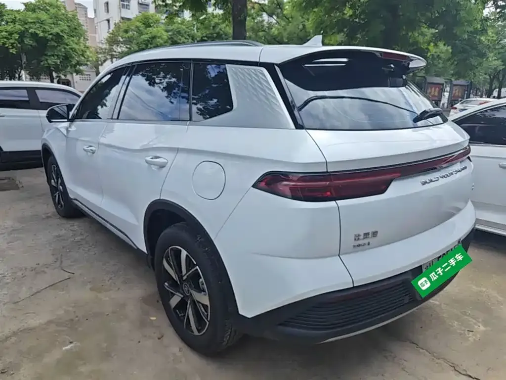 BYD Pro New Energy 2024 из CN, фото 8