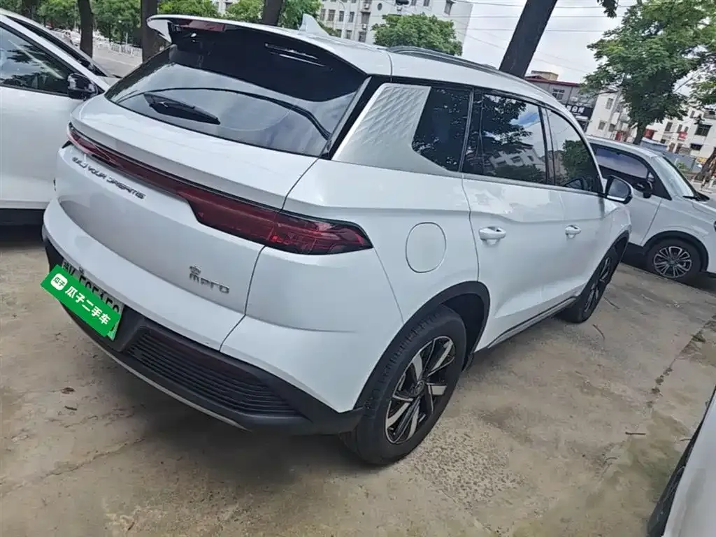 BYD Pro New Energy 2024 из CN, фото 10