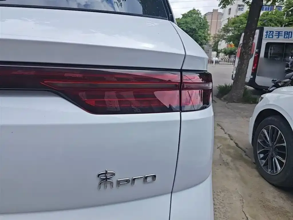 BYD Pro New Energy 2024 из CN, фото 2