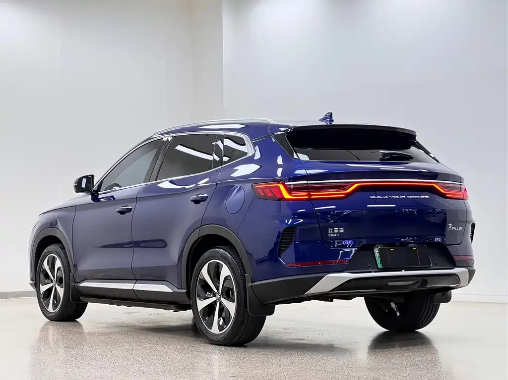 BYD PLUS New Energy — фото 9
