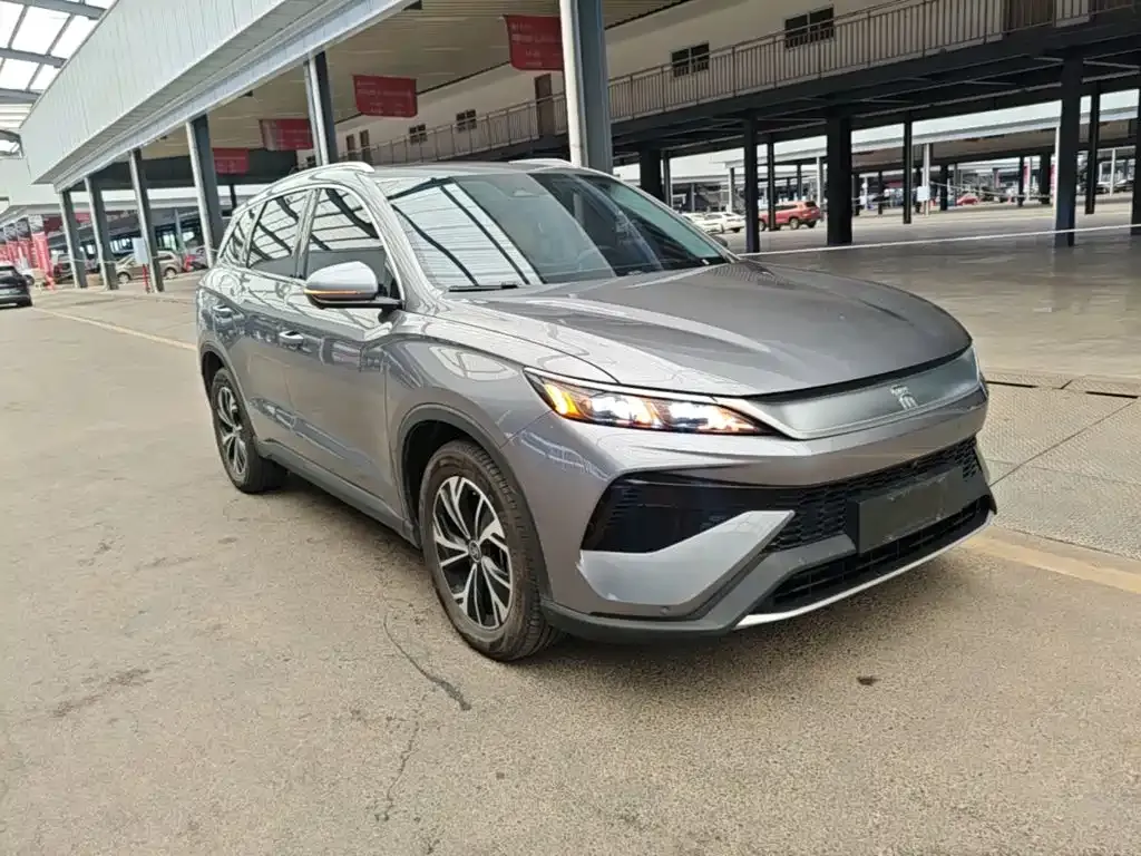BYD Pro New Energy — фото 10