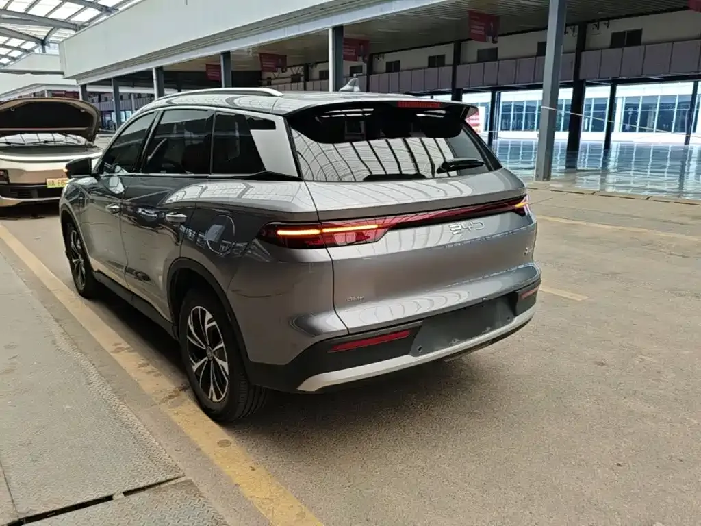 BYD Pro New Energy — фото 4