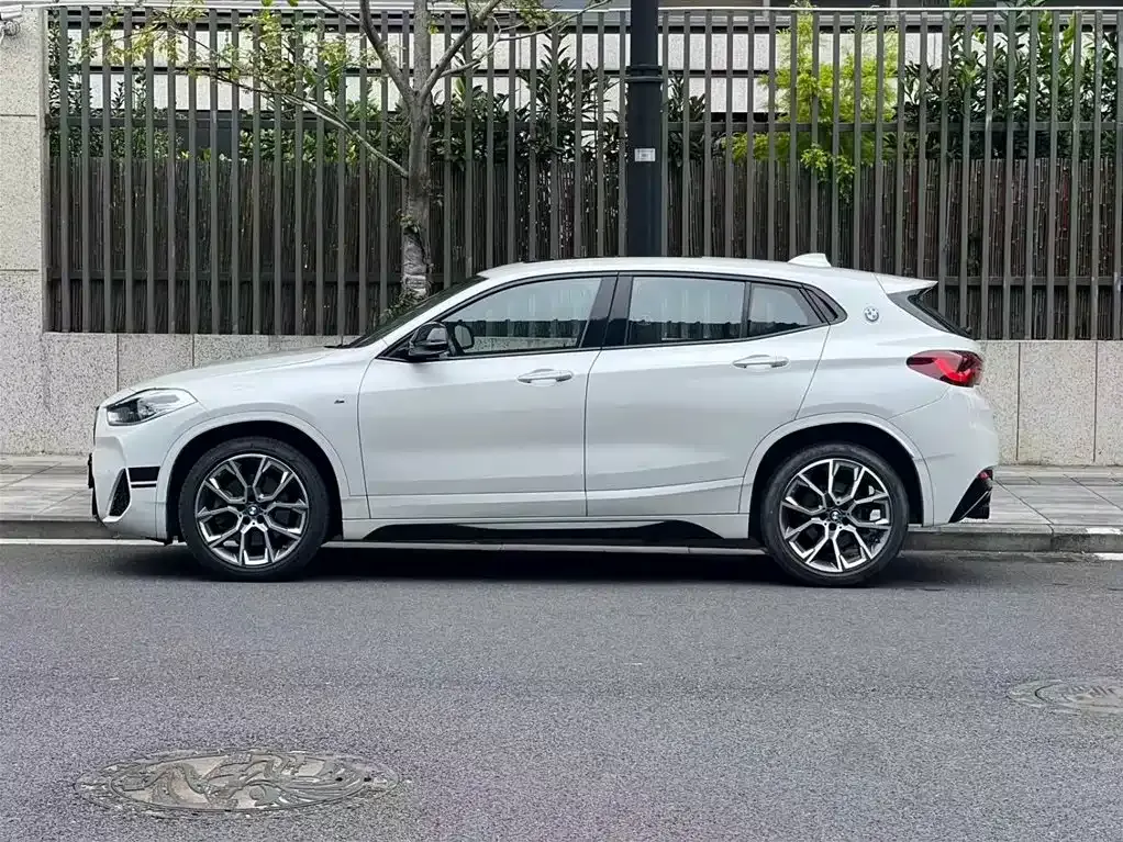 BMW X2 2022 из CN, фото 7