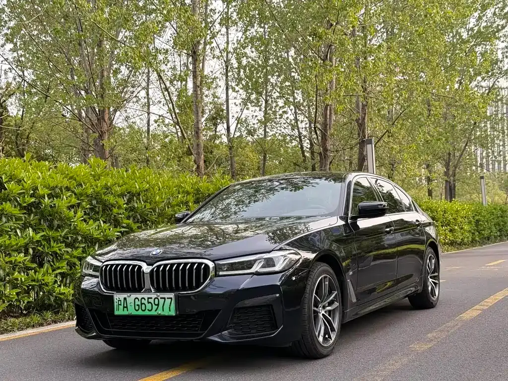 BMW 5 Series New Energy