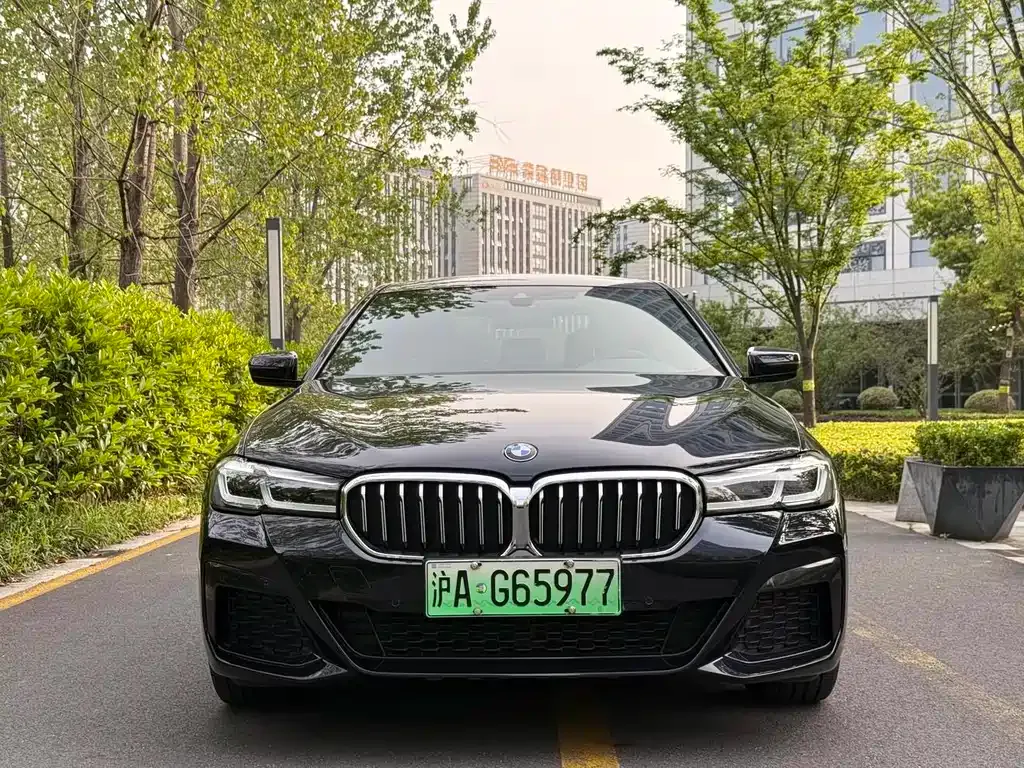 BMW 5 Series New Energy 2021 из CN, фото 7